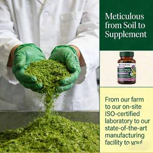 כמוסות צמחיות של Oem Herbs לתסמונת גיל המעבר, תומכות באיזון הורמונלי, תוסף צמחי פיטואסטרוגני - Product Image 6