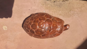 Djembé de style africain, tambour en bois sculpté à la main, percussion pour la maison et le studio - Product Image 2