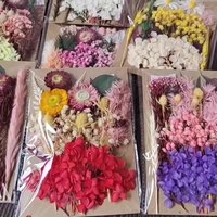Offre Spéciale pas cher prix naturel mélangé fleurs sèches ornements en vrac vraies fleurs séchées pour Nail Art bricolage bougie parfumée