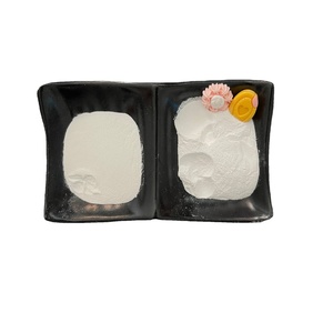 Poudre de carbonate de magnésium CAS 7469-90-3 <span class=keywords><strong>MgCO3</strong></span> 99% Poudre blanche pour l'industrie des peintures et des revêtements - Product Image 2