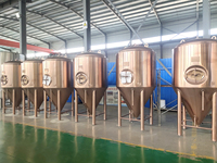 Tonsen 200l 300l 500l bon prix mini brasserie équipement de brassage de bière artisanale microbrasserie
