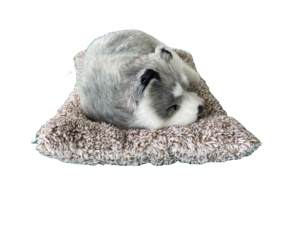 200g Best-seller Sac de charbon de bambou <span class=keywords><strong>d</strong></span>ésodorisant de voiture avec simulation de jouets en peluche animaux <span class=keywords><strong>d</strong></span>écoration de tableau de bord pour les voitures - Product Image 3