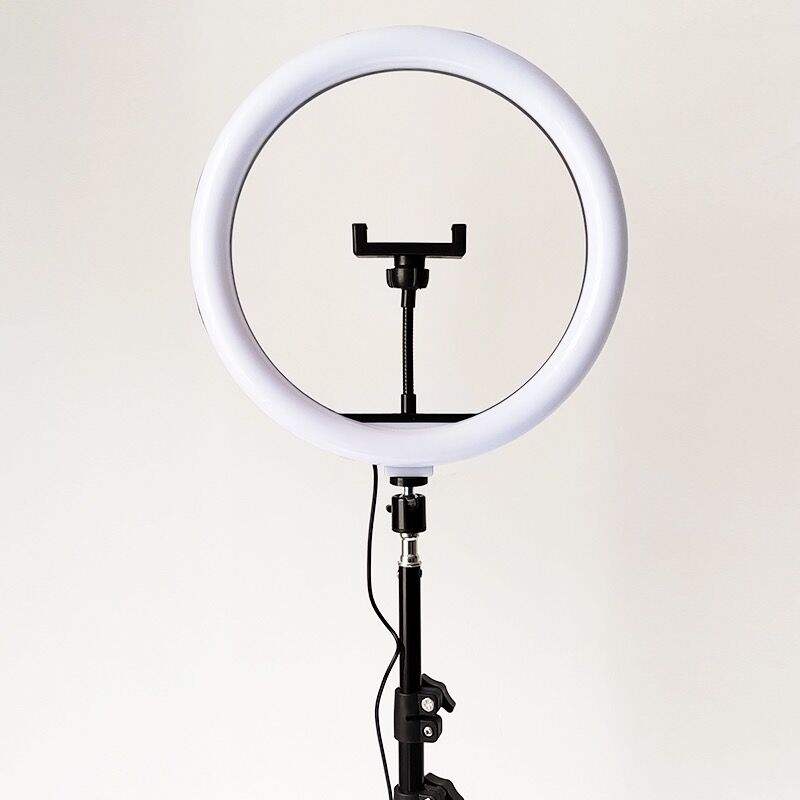 Selfie Stick Tiktok Stand Light Price Flipkart Flipkart Ring Light
