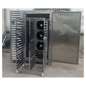 Industrial Food Quick Freezer Machine Vegetable Fruit Slices Quick Freezing Equipment For Sale