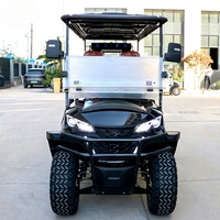 Voiturette de golf électrique 6 places avec pneus tout-terrain, prix abordable, pare-chocs personnalisable pour le camping sauvage, les traversées et les scénarios de travail en dune