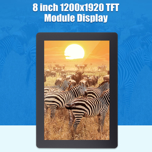 Tùy chỉnh độ sáng cao IPS <span class=keywords><strong>LCD</strong></span> 8 inch 1200x1920 <span class=keywords><strong>mipi</strong></span> giao diện 2000nits <span class=keywords><strong>TFT</strong></span> <span class=keywords><strong>LCD</strong></span> <span class=keywords><strong>module</strong></span> FHD ứng dụng ngoài trời - Product Image 6