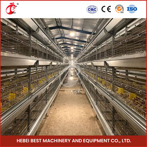 Çin bebek civciv kafes çiftlik H tipi Pullet Coop galvanizli yüzey işleme ahşap Pullet Coop - Product Image 5