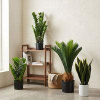Plantes artificielles Calathea Orbifolia résistantes aux UV, verdure tropicale artificielle anti-UV pour terrasse extérieure et présentation en vitrine