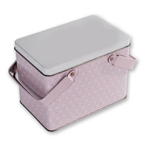 Lattina di ferro portatile alla moda con manico in colori assortiti per conservare cosmetici o elementi essenziali per Picnic - Product Image 3