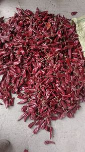 سعر تصدير كبير فلفل أحمر جاف كبير للسوق الماليزي - Product Image 2