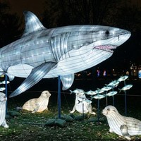 Decoración de Faroles con Forma de Grandes Animales Marinos para Parques de Diversiones, Navidad, Uso Interior/Exterior, Espectáculo de Luces para Parques Temáticos