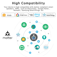 Module d'automatisation domestique intelligent Mini Matter SIXWGH haute compatibilité 16A, WiFi sans fil, prend en charge HomeKit Alexa pour système de maison intelligente