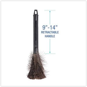 Plumeau à plumes Boardwalk BWK914FD, 9 à 14 pouces, manche rétractable en plastique, couleur noire - Product Image 6