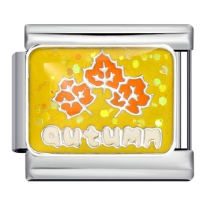 Abalorios Italianos de Cuatro Estaciones: Primavera, Verano, Otoño, Invierno, con Diseños de Frutas, Flores, Copos de Nieve y Árboles de Navidad, de 9mm, para Pulseras Nomination - Product Image 4