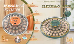 حاضنة 30 بيضة أوتوماتيكية بالكامل مع سلة عرض الرطوبة من Wonegg لعمل الحاضنة مع نظام الطاقة الشمسية - Product Image 5