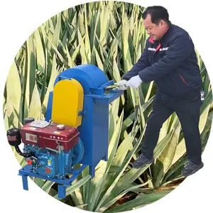 Macchina automatica per l'estrazione di fiber con stelo di banana sisal, estrattore di foglie di ananas, decorticator in filippine