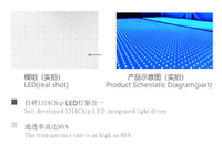 Écran LED flexible transparent P6.25 P8 P10, autocollants en verre, incurvés, pliables, transparents, pour façade de bâtiment en verre