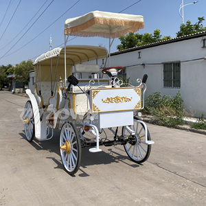 รถม้าไฟฟ้าสไตล์วินเทจสีขาวตกแต่งขอบทอง ยานพาหนะพิเศษสำหรับการท่องเที่ยวชมวิว - Product Image 2