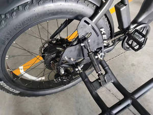 Scooter Elettrico a Tre Ruote di Alta Qualità con Sidecar, Bici a Pedalata Assistita per Trasportare Animali, Bici da Città con Freno a Disco, Moto Elettrica da Fuoristrada - Product Image 3