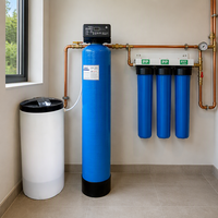 Système de filtration et adoucisseur d'eau automatique pour toute la maison, filtre à eau automatique, système d'adoucissement d'eau pour la maison