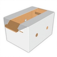 Boîte à fruits en papier ondulé écologique personnalisée avec couvercle pour l'emballage