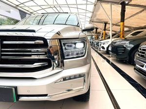 Great Wall Suv tank 500 2023 Édition Business Création Imaginative Type SUV d'occasion en Chine - Product Image 3