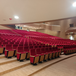 Silla de Auditorio Moderna de Tela para Teatro, Hotel, Hospital - Reposabrazos Ajustables, Patas de Acero, Muebles Comerciales al por Mayor - Product Image 6