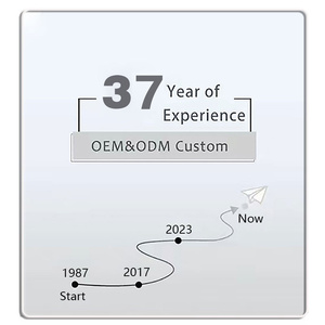 Welord 2025, superventas, tapones chapados personalizados, logotipo grabado con láser, reemplazo de aleación de Zinc, extremo de cuerda de cordón <span class=keywords><strong>Aglet</strong></span> - Product Image 5