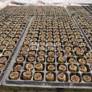 Ventes chaudes de substrat de semis rond <span class=keywords><strong>pour</strong></span> la propagation des tomates et des concombres, plateau de semis, bouchons de <span class=keywords><strong>laine</strong></span> de roche - Product Image 5