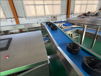 Ligne de machines automatisées pour le lavage, le cirage, le tri, la calibrage et l'emballage des oranges