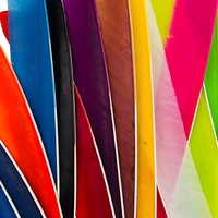 Plumes de dinde pleine longueur de plus de 18 cm pour le fletchage des flèches, pour ensemble arc et flèches - Vente chaude de l'usine Linkboy Archery