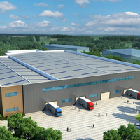 Nueva Estructura de Acero de Diseño Económico y Construcción Rápida para Almacenes y Edificios de Almacenamiento en Venta