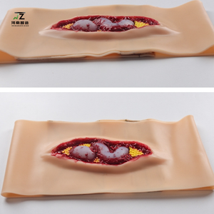 หุ่นจำลองฝึกผ่าตัดช่องท้องแบบใหม่ ปี 2025 สำหรับการเรียนการสอนทางการแพทย์ การจำลองสถานการณ์ฉุกเฉิน ขนาดเท่าคนจริง ทำจากวัสดุซิลิโคน/พีวีซี - Product Image 6