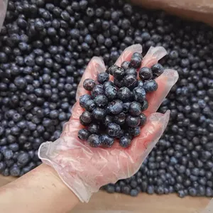 新季出厂价格IQF进口冷冻蓝莓水果