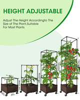 Treillis de support pour plantes grimpantes, roses de jardin, tomates, pour plantes en pot d'intérieur, en acier au carbone, 10 pieds de haut, facile à assembler