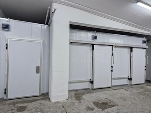 Contenedor móvil de 20 pies, la mejor cámara frigorífica de almacenamiento de energía solar para pescado, carne, verduras <span class=keywords><strong>con</strong></span> certificado NSF - Product Image 1