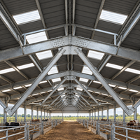 Hangars d'élevage préfabriqués en acier pour porcs, chèvres et bovins, bâtiments agricoles, abris pour bétail avec solution de projet globale