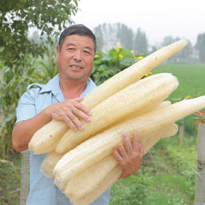 Wholesale Old Loofah Flesh <b>Brush</b> <b>Magic</b> Cleaning Bath Scrubs & <b>Brushes</b> Pocket Cloth Dishwashing Cloths - Product Image 4