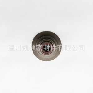 ซีลก้านวาล์ว 3696555F สำหรับอะไหล่เครื่องยนต์คัมมินส์ ISG - Product Image 1