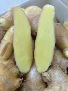 ג'ינג'ר סיני טרי צעיר 10 ק\\\"ג מותג הלִי משאנדונג לבישול ג'ינג'ר גידול נפוץ - Product Image 3