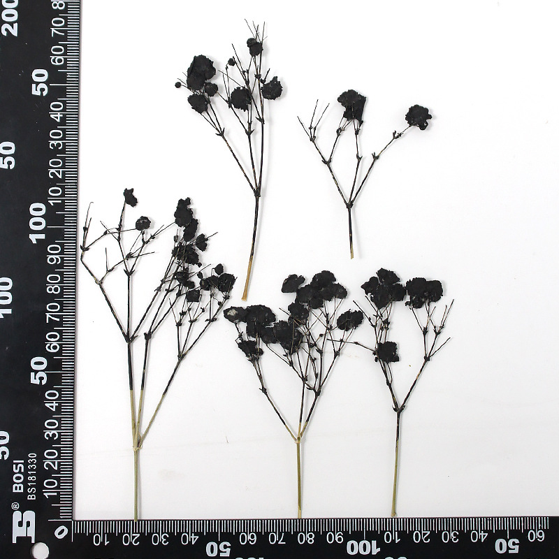 MH639-Black-Junesnow
