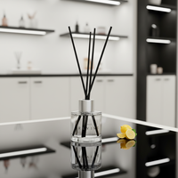 Diffuseur d'huiles essentielles en verre sans plomb et sans alcool, fabriqué à la main, de haute qualité et respectueux de l'environnement, pour la fragrance d'intérieur, diffuseur à bâtonnets