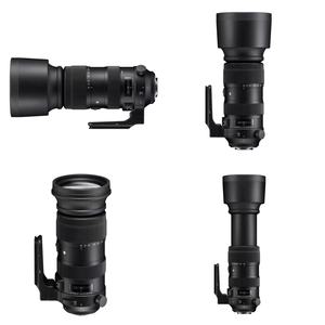 Objectif zoom ultra long d'occasion Sigma 60-600mm F4.5-6.3 DG OS HSM Sports pour monture Canon EF, plein format, prêt à être expédié - Product Image 5