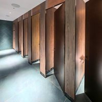 Cubículos de Baño HPL de Diseño Innovador DEBO Resistentes a los Arañazos, Diseño Gráfico para Escuelas y Centros Comerciales