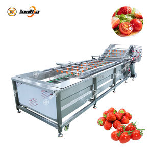 Ligne de traitement des légumes et fruits : élimination des tiges, lavage à bulles, séchage à l'air, découpe pour fraises, <span class=keywords><strong>framboises</strong></span>, cerises, tomates - Product Image 4