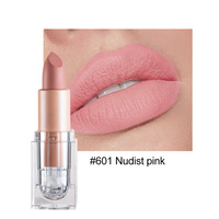 Rouge à lèvres minéral mat bio vegan, hydratant, longue tenue, maquillage de beauté, cosmétique de haute qualité
