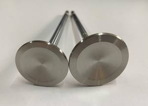 Válvulas M57 <span class=keywords><strong>M47</strong></span> para BMW Serie 3 5 7 X5 X6 E38 E39 E46 E53 <span class=keywords><strong>E60</strong></span> en 11342247077 EX 11342247077 Válvulas de Motor - Product Image 2