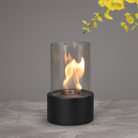 Cheminée d'intérieur à bioéthanol Inno-Fire TT-15 avec une flamme jusqu'à 30 cm, temps de combustion d'une heure, revêtement en poudre métallique