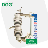 DGG Fusible d'expulsion personnalisé en porcelaine et caoutchouc de silicone, à découpe, pour exportation mondiale pour appel d'offres international