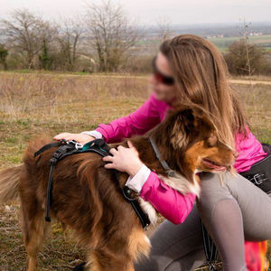 Thiết Kế Mới Xuất Khẩu Chất Lượng Ngoài Trời Săn Bắn Chó Vest Không Kéo Con Chó Khai Thác Cho Lĩnh vực Săn Bắn - Product Image 4